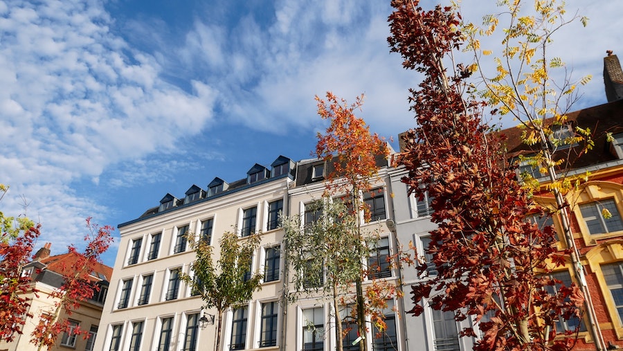 photo de facade d'immeuble a lille