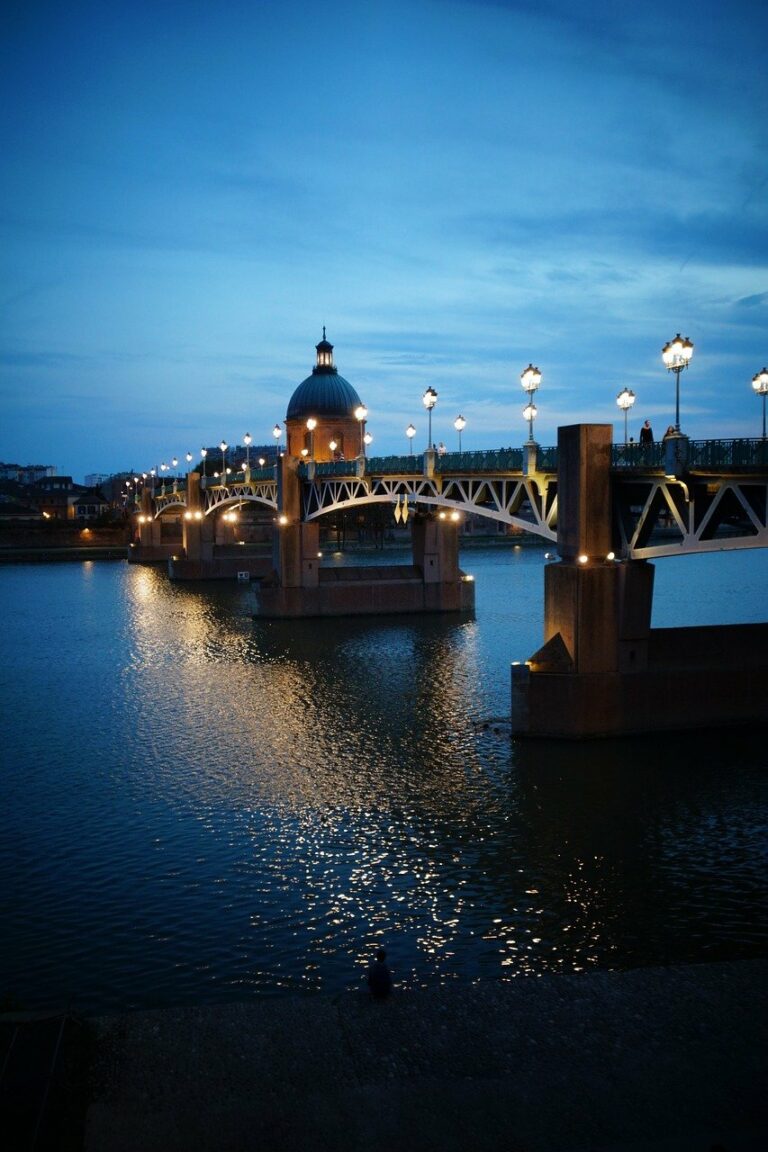 toulouse de nuit