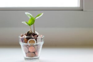 verre rempli de pièces avec une plante qui pousse