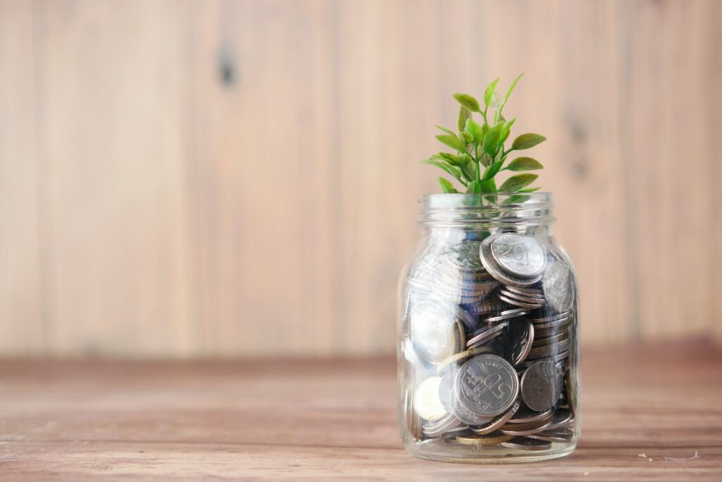 pot rempli de piece avec une plante qui pousse dedans