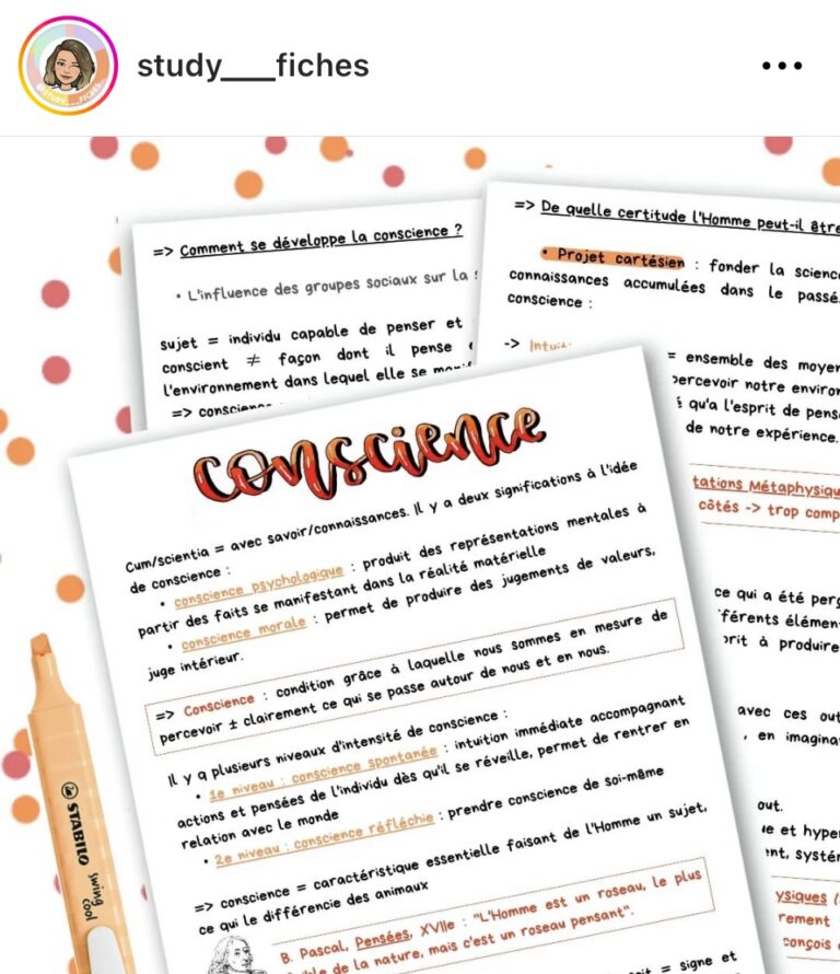 Bac 2023 4 Conseils Pour Réussir L épreuve De Philosophie Capitaine