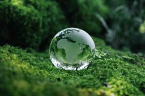 Sujet probable Bac Spé Biologie-écologie 2025