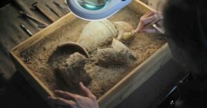 licence d'histoire de l'art et archéologie